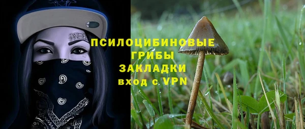 кокс Алексеевка