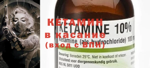 ECSTASY Алзамай