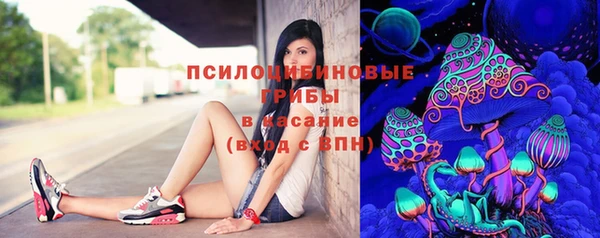 ECSTASY Алзамай
