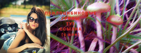 ECSTASY Алзамай