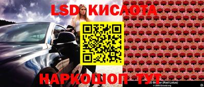 стаф Ирбит