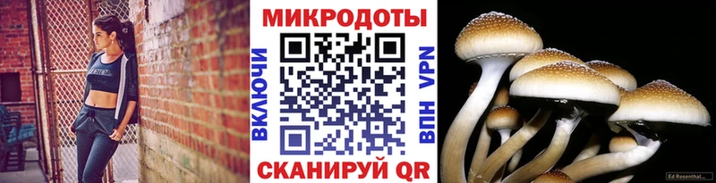 Псилоцибиновые грибы Cubensis  наркота  Пенза 