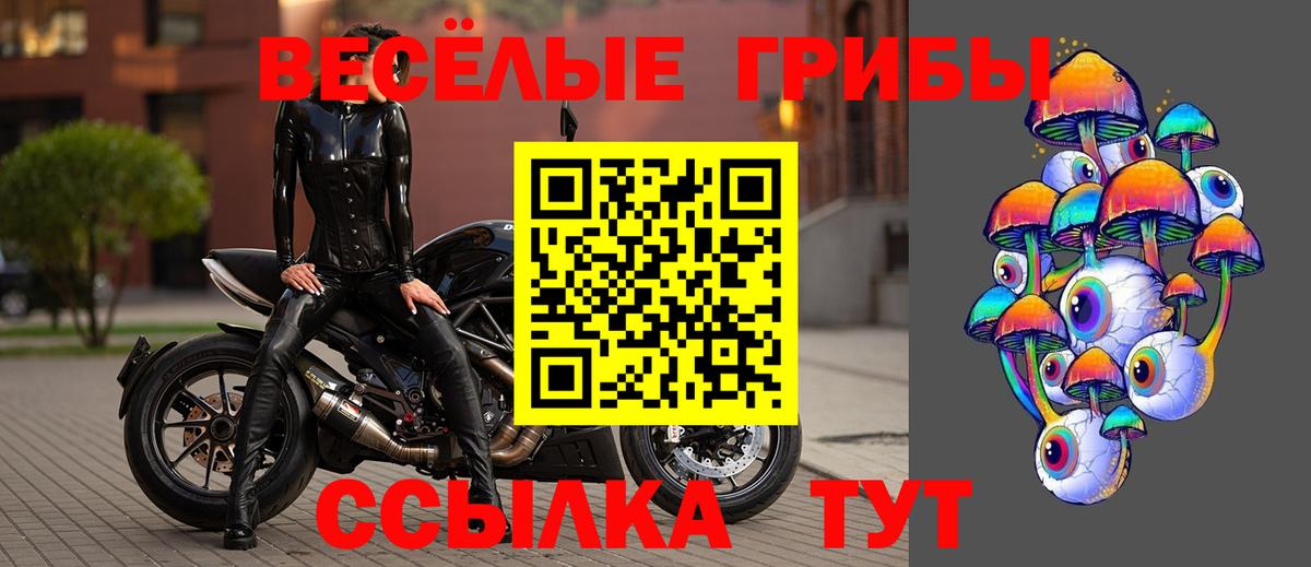 Галлюциногенные грибы прущие грибы Пенза